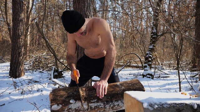Shirtless man sawing a log in sunny winter forest. Strong guy working with saw in snowy woodland. The scene highlights human effort and outdoor activity in cold conditions. Slow mo