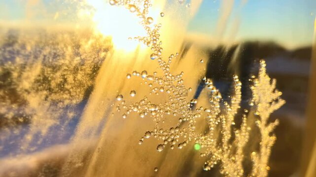 Frost patterns and water droplets on window glass glow as cool blue light turns golden, with branching crystalline textures in close view against blurred snowy outdoor background