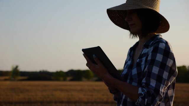 Female agronomist in straw hat monitoring harvest on barley field at sunset. Adult farmer using digital tablet on wheat meadow at dusk. Beautiful scenic landscape. Concept of agricultural business