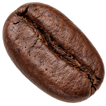 Close-up macro of a detailed roasted coffee bean isolated on black background