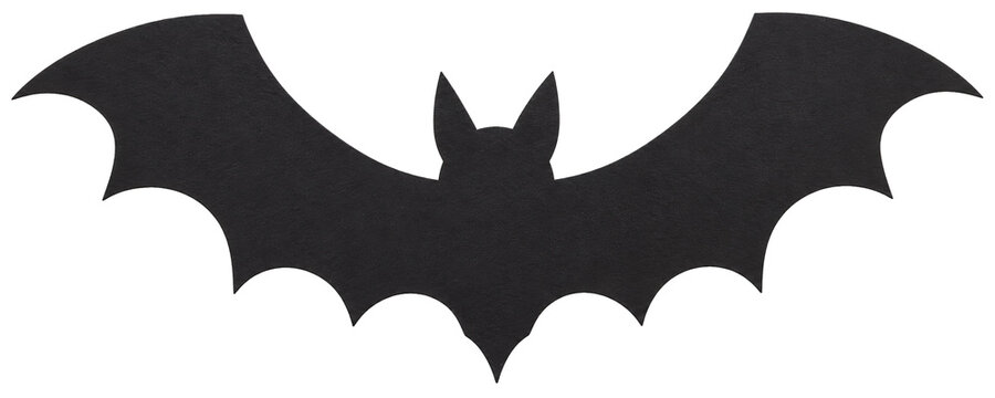 Silhouette of a black bat cutout with outstretched wings