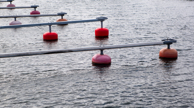 Rows of empty marina mooring fingers with colorful plastic mooring buoys floating on a calm sea water surface.