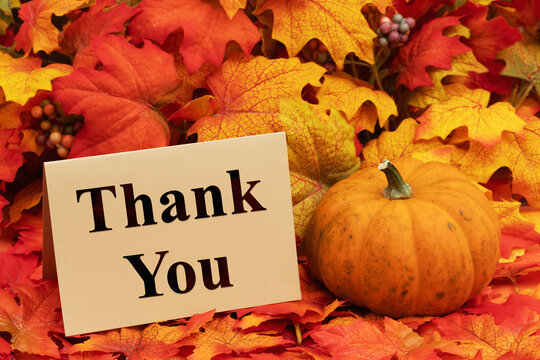 Thank You greeting card with fall leaves and pumpkin for your autumn message