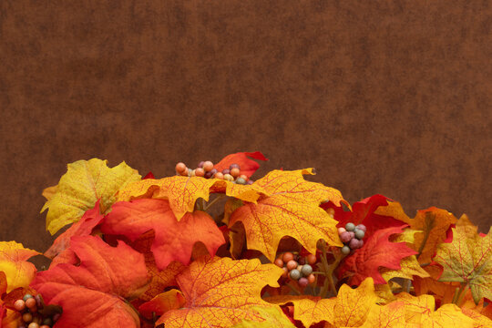 Autumn scene with fall leaves for your autumn message