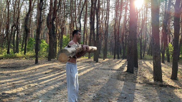 Hardy shirtless sportsman lifting wooden log at summer forest. Young athletic guy exercises with hard weight training biceps. Strong muscular man working at sunny woodland. Active lifestyle concept