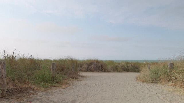 Sandy path through coastal dune grass with a sea view slow motion black birds take flight handheld camera movement