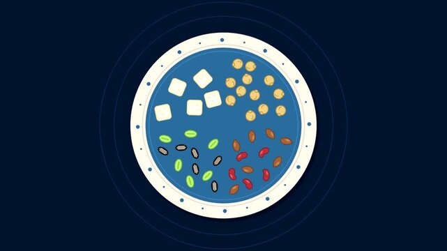 Plant Based Protein Animation, Nuts Chickpeas Tofu and Seeds Spiraling Onto a Rotating Plate, Balanced Vegan Meal, Flat Vector, Seamless 10 Second Loop