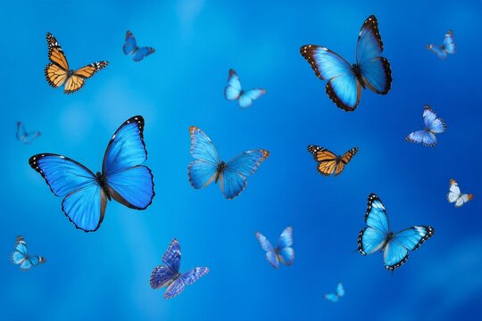 Multiple butterflies flying over soft blue background