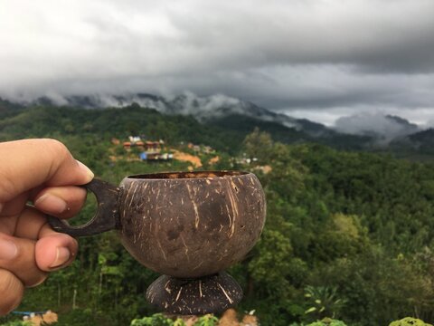 Hand holding a coconut shell cup with scenic mountain view and tropical forest landscape in the background during vacation trip