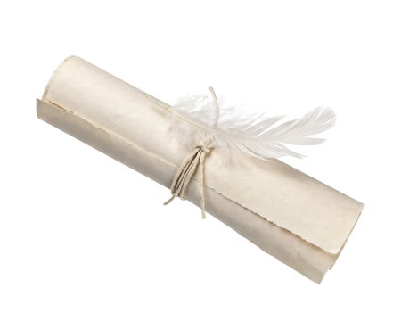A rolled piece of aged parchment paper tied with a simple string and decorated with a single white bird feather, angled view isolated on a transparent background