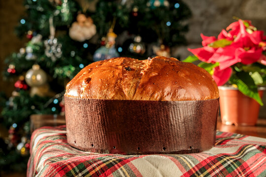 Panettone cake displayed on a festive tablecloth with Christmas tree and poinsettia
