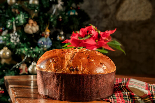 Panettone Christmas cake on a rustic table beside poinsettia and a decorated tree