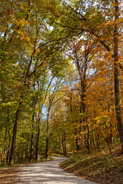 Gravel road through colorful Fall leaves at Cuivre River State Park near Troy, Missouri