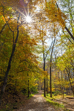 Pedestrian hiking path through colorful Fall leaves at Creve Coeur Memorial Park in Creve Coeur, Missouri