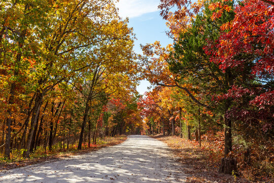 Gravel road through colorful Fall leaves at Cuivre River State Park near Troy, Missouri