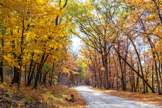 Gravel road through colorful Fall leaves at Cuivre River State Park near Troy, Missouri