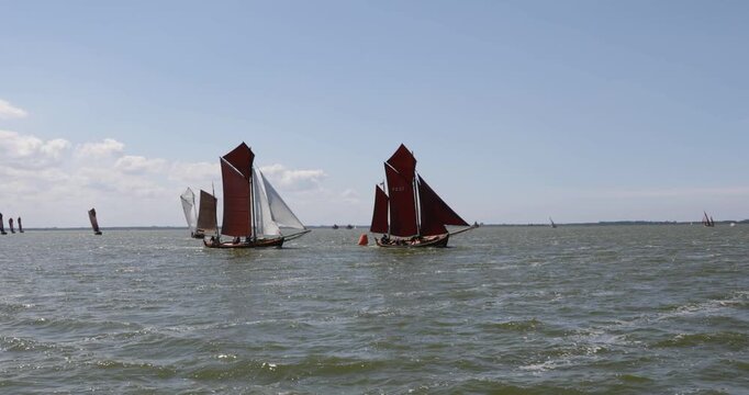 Zeesbootregatta, Wustrow, Saaler Bodden, Fischland, Dar&szlig;, Mecklenburg-Vorpommern, Germany
