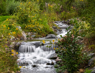cascading falls  © cherwoman730