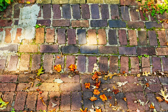 Top view of weathered red brick paving stones with fallen orange autumn leaves and green moss. Ideal for rustic backgrounds, texture design, and seasonal website banners.