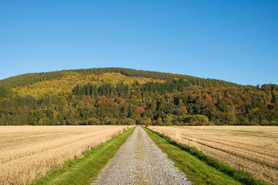Sunlight shines across cut barley field to the autumn colours of the Spey Valley Forrest in Craigellachie