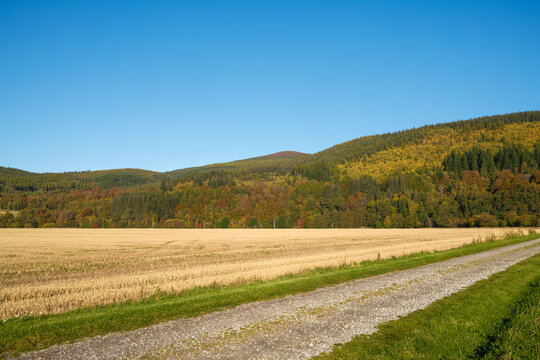 Sun shines across cut barley field to the autumn colours of the Spey Valley Forrest in Craigellachie