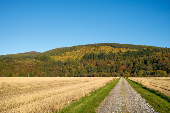 Sun shines across cut barley field to the autumn colours of the Spey Valley Forrest in Scotland