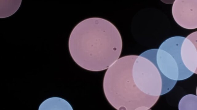 Stock Video Footage of Dreamy Pastel Rainbow Bokeh Light Leak Overlay on Black Background