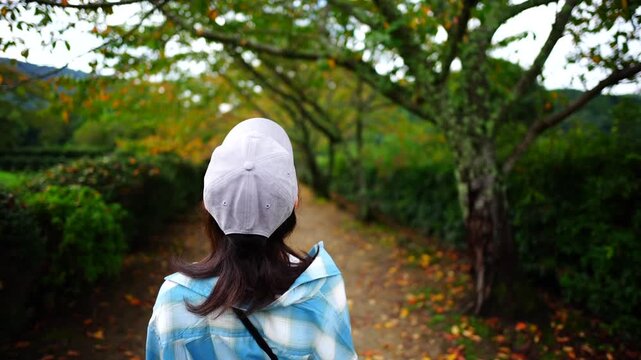 Woman Standing on Tree-Lined Path Surrounded by Early Autumn Colors in Japan