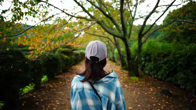 Woman Walking Along Tree-Lined Path with Early Autumn Foliage in Japan