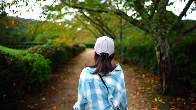 Woman Walking Along Tree-Lined Path with Early Autumn Foliage in Japan