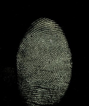 Fingerprint