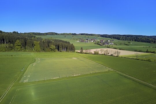 Fields and meadows, in the back the hamlet of Holderstock, Sins, Freiamt, Canton of Aargau, Switzerland