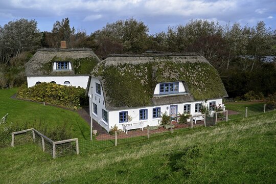 Thatched-roof house on Kaydeich, Pellworm Island, Schleswig-Holstein Wadden Sea National Park, North Frisia, Germany