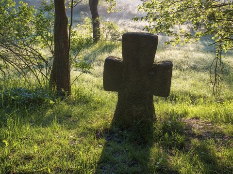 Medieval stone cross on the edge of a forest in backlight in the morning, Atonement Cross, Mordkreuz, Thuringia, Germany