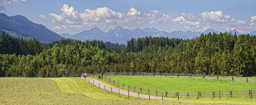 Alpine foothills in Pfaffenwinkel with hay meadow, Pilgrimage church of the Scourged Saviour on the Wies, rock garden, Pfaffenwinkel, Bavaria, Germany