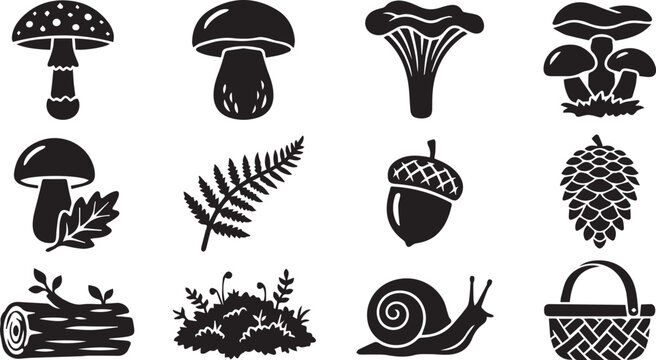 Black forest mushrooms acorns snail basket ferns log flat design