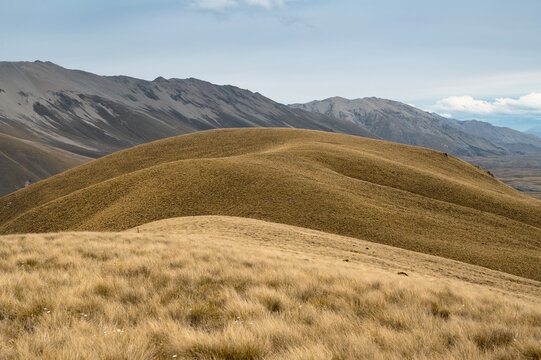 Spectacular scenic view of smooth rolling golden tussock hills with rugged mountain ranges in Canterbury, New Zealand.