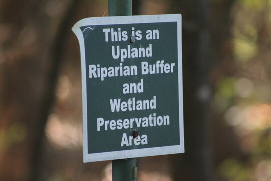 upland buffer zone
