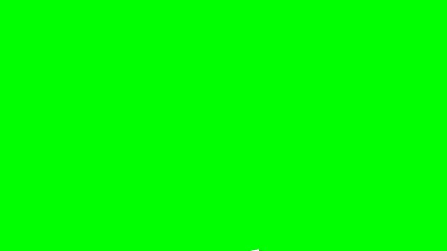Falling Polaroid Photo Frame Mockup On Green Screen 4K