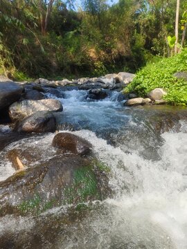 White water rapid stream flowing over rocks in natural river