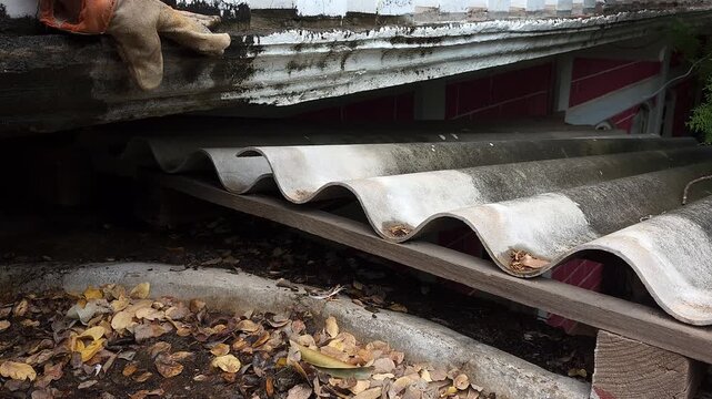 Clearing Dry Leaves from Narrow Gap in Corrugated Roof Using Stick and Hand
