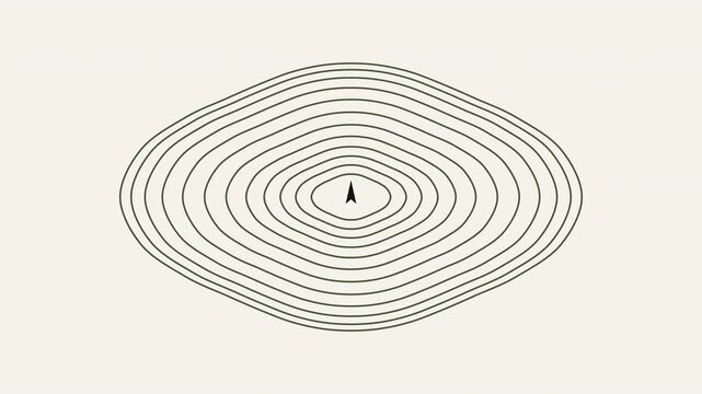 Abstract concentric oval line pattern on white background. 4K video