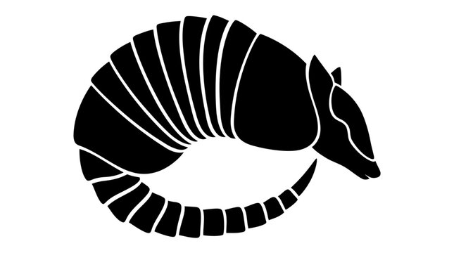 Armadillo vector silhouette graphic illustration featuring a curled wild mammal with armored shell plates