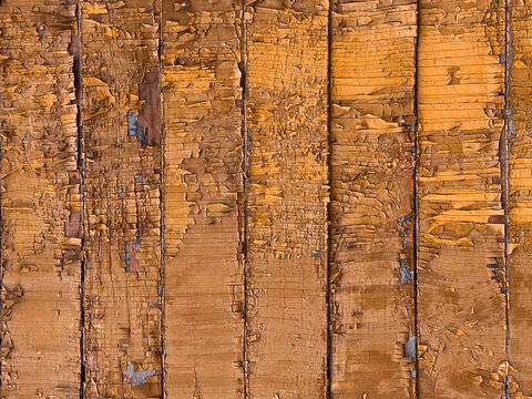 Closeup of weathered wooden planks with thick peeling orange paint and cracked grain, vertical seams and flaking layers, rustic aged texture, detail view of distressed surface