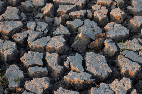 Cracked Dry Earth Texture in Sunlight