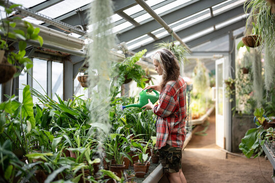 Daily work routine in greenhouse and plant care, focused woman botanist watering potted plants, concentrated female worker orangery caretaker pouring water on plants from watering can in garden.