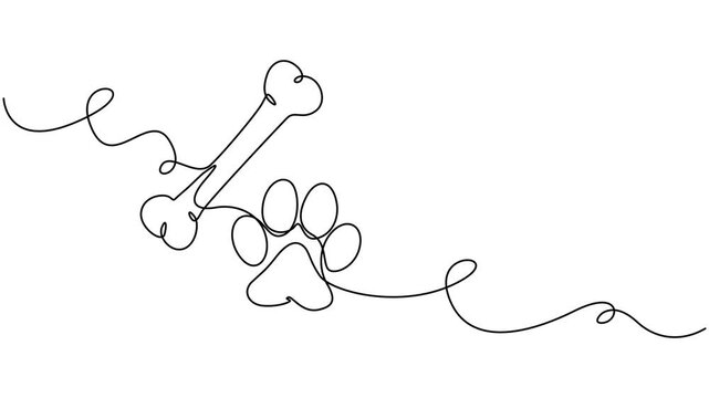 Video. Drawing of a dog's paw and bone with a continuous line. Paw print with bone with one editable line, Animated self drawing of continuous line draw of dog or cat paw print with a bone. Concept 