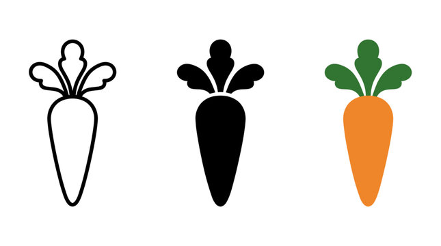 Carrot vegetable isolated in linear solid and flat color artistic styles