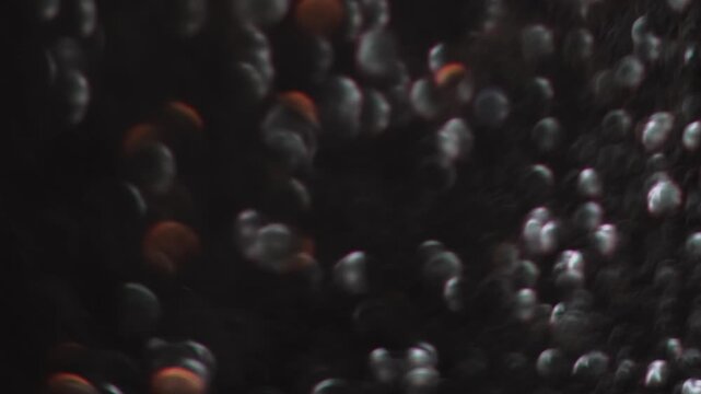 Lens flare glow. Blur gleam. Shiny bronze brown sequins on dark black night texture. Black gray orange light color abstract bokeh background.