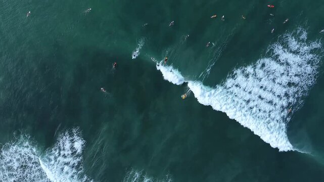 High angle top-down drone perspective of surfers spread out in ocean lineup taking off on breaking waves. Ideal background for water sports, surfing promo, and reels.Lombok.Indonesia